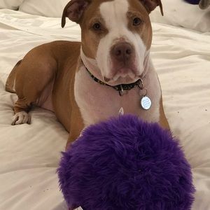 Meet your Posher, Nancy